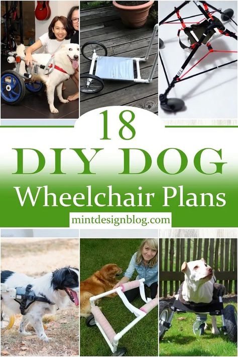 18 DIY Dog Wheelchair Plans Diy Dog Wheelchair, Paralyzed Dog, Dog Chair, Dog Wheelchair, Dog Kennel Furniture, Disabled Dog, Diy Dog Toys, Diy Dog Bed, Dog Stroller