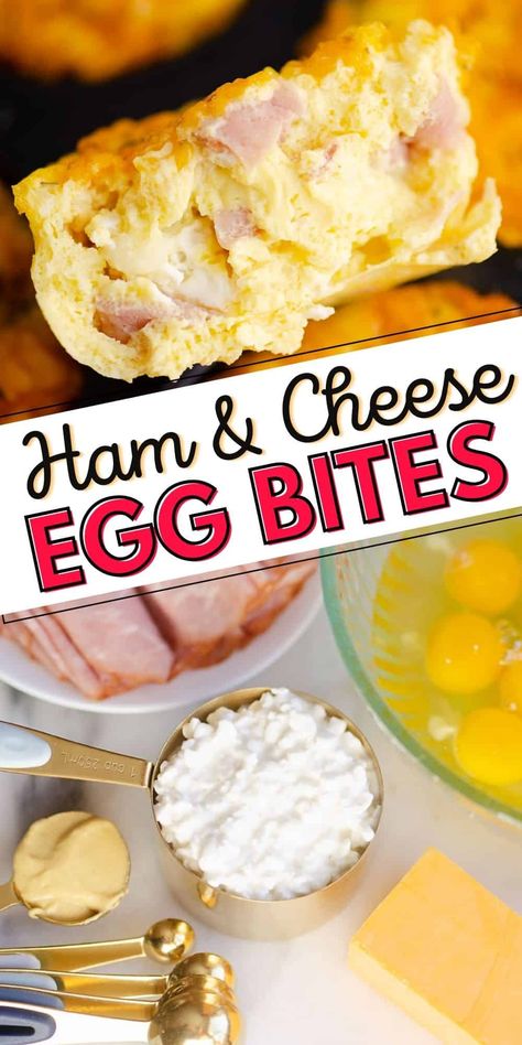 Healthy Low Carb Meal Prep, Cheese Egg Bites, Eggs Cottage Cheese, Cottage Cheese Recipes Healthy, Egg Bites Recipe, Bariatric Friendly Recipes, Low Carb Low Fat Recipes, Healthy Low Carb, Low Carb Meal Prep