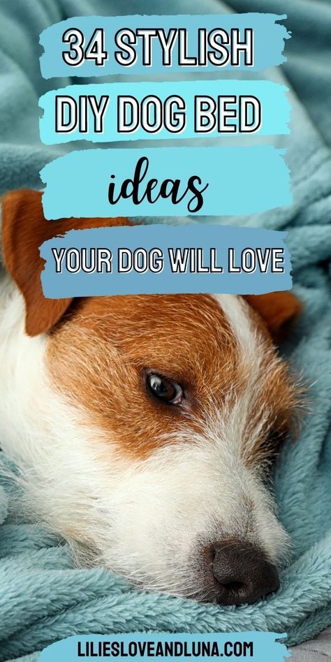 Fluffy Dog Bed Aesthetic, Diy Dog Bed Pillow Washable, Dog Bed Ideas For Living Room, Dog Bed Ideas Diy, Homemade Dog Beds For Large Dogs, Dog Beds Diy, Diy Dog Bed Pillow, Creative Dog Bed, Diy Dog Beds