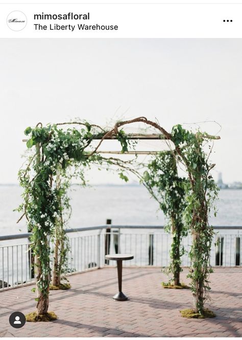 Wedding Chuppah, Garden Party Wedding, Wedding Aisle, Wedding Florals, Wedding Arch, Mimosa, Garden Arch, Rainy Day, Garden Party