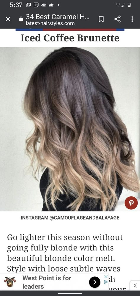 Brunette To Blonde Color Melt, Black Color Melt Hair, Ombre Hair Color 2023, Hair Color Ideas For Pregnant Women, Dark To Light Hair Transition, Gradient Hair Brown To Blonde, Peekaboo Balayage Brunettes, Hair Color Ideas For Brown Hair Ombre, Dark On Top Light On Bottom Hair Brown