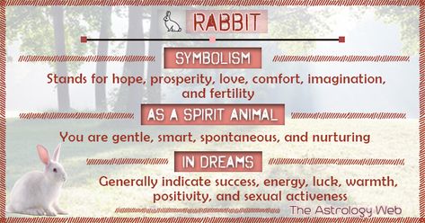 Rabbit Meaning and Symbolism | The Astrology Web Rabbit Symbolism Meaning, White Rabbit Spiritual Meaning, Spirit Animal Rabbit, Bunny Spirit Animal Meaning, Bunny Spirit Animal, Rabbit Spirit Animal Meaning, Bunny Symbolism, Rabbit Meaning, Meditation Signs