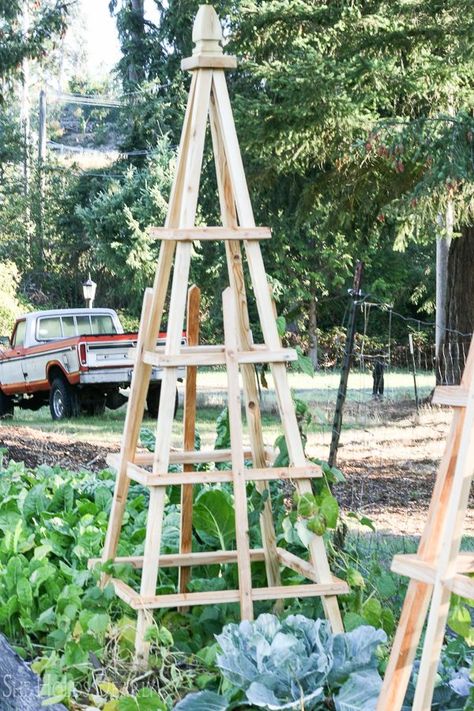 Tutorial, Woodworking, Gardening Project, Pyramid, Obelisk, Trellis Build A Garden, Obelisk Trellis, Garden Obelisk, Diy Trellis, Potager Garden, Garden Vines, Diy Garden Projects, Climbing Roses, Garden Trellis