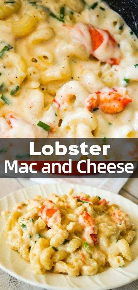 Lobster Mac and Cheese is a delicious seafood pasta recipe made with chunks of precooked lobster, mozzarella, cheddar and Swiss cheese. Lobster Mac N Cheese, Seafood Dish Recipes, Lobster Dishes, Seafood Diet, Pastas Recipes, Lobster Mac, Lobster Mac And Cheese, Seafood Pasta Recipes, Healthiest Seafood