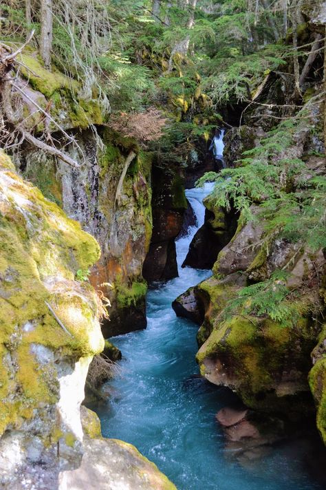 Avalanche Lake, Lake Mcdonald, Glacier National, Future Travel, Glacier National Park, The Trail, Travel Destinations, National Park, Road Trip