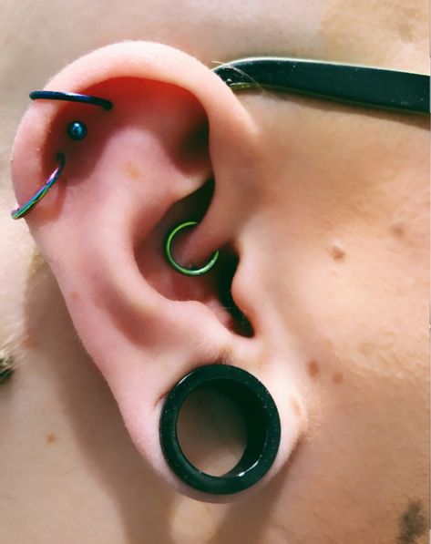 A Guide to Earlobe Stretching | Almost Famous Body Piercing Earlobe Stretching, Eyebrow Jewelry, Types Of Ear Piercings, Wild Tattoo, Stretched Lobes, Stone Plugs, Cool Piercings, Horn Jewelry, Piercing Studio