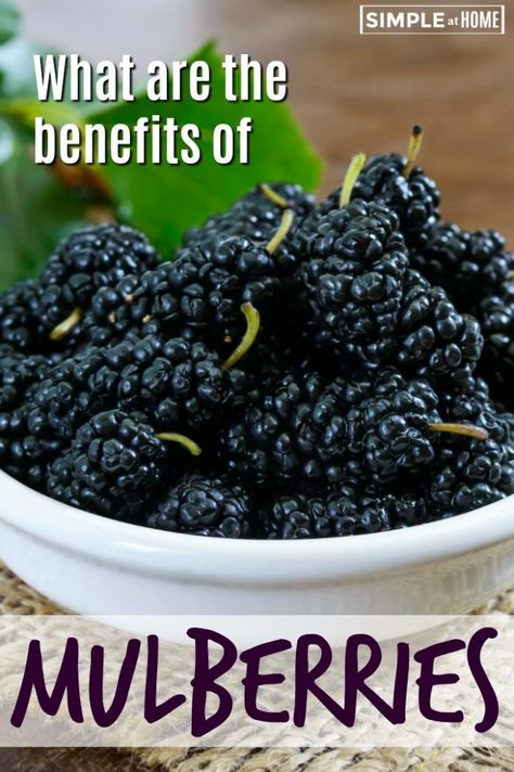 Mulberry Benefits, Mulberry Recipes, Calendula Benefits, Fruit Health Benefits, Healthy Eyes, Essential Vitamins, Healthy Bones, Heart Healthy, Healthy Diet