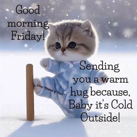 Cold Friday Morning Quotes, Good Morning Cold Day Winter, Good Morning Winter Images, Cold Weather Funny, Thursday Morning Quotes, Friday Greetings, Good Morning Animals, Good Morning Winter, Good Morning Cartoon