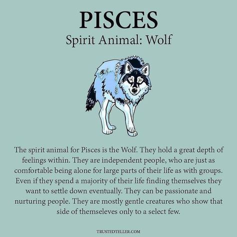 Pisces Spirit Animal, Star Sign Art, Healing Verses, Spiritual Animal, Pisces Quotes, Astrology Pisces, Pisces Woman, Wolf Spirit Animal, Chinese Astrology