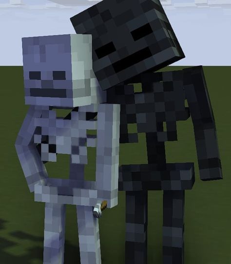 Skeleton X Wither Skeleton, Wither X Skeleton, Minecraft Screenshots, Minecraft Wither, Minecraft Character Skins, Minecraft Comics, Minecraft Drawings, Monster School, Minecraft Characters