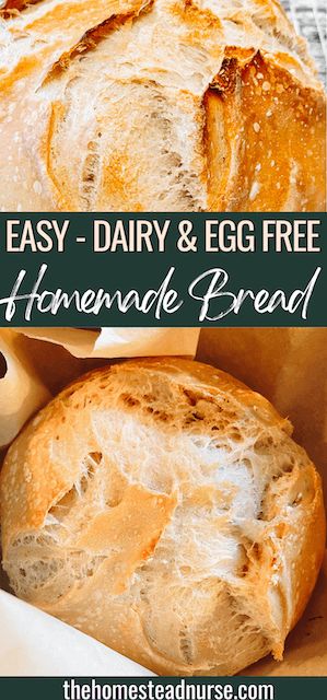 Gluten Free Dairy Free Sourdough Bread, Homemade Bread No Egg, Grain Free Yeast Bread Recipe, Non Dairy Bread Recipe, Dairy Free Homemade Bread, Gluten Free Bread Without Eggs, Gluten Free Egg Free Bread Recipe, Vegan Gluten Free Bread Recipe Easy, Allergen Free Bread