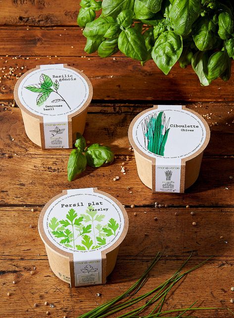 Herbs to grow 3 eco-friendly mini pots set | Mano verde | | Simons Herbs To Grow, Spices Packaging, Food Business Ideas, Pots Set, Seed Box, Seed Kit, Packaging Design Trends, Dried Eucalyptus, Seed Packaging