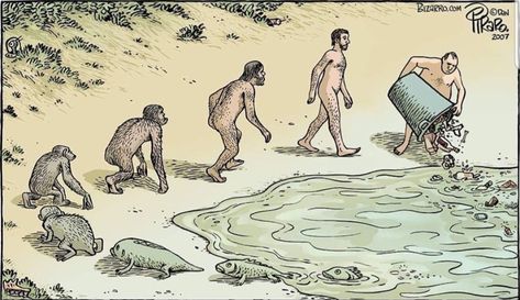 Evolution Cartoon, Evolution Art, Satirical Illustrations, Theory Of Evolution, Human Evolution, Charles Darwin, Human Race, Save Earth, Funny Cartoons