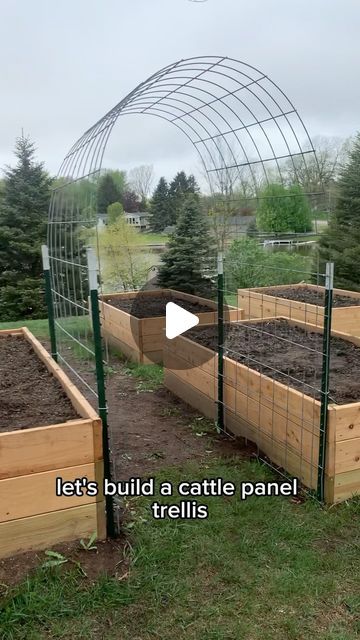 Veggie Bed Ideas, Trellis Raised Garden Beds, Raised Bed Garden Design Ideas, Cattle Panel Garden Arch, Garden Set Up Ideas, Garden Beds With Trellis, Raised Beds With Trellis, Garden Design Raised Beds, Squash Trellis Ideas