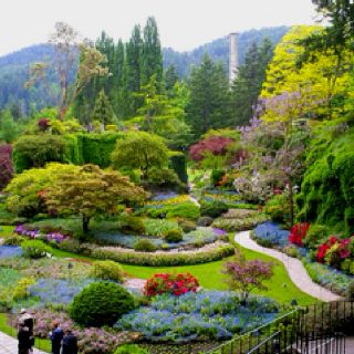 Buchard Gardens, Victoria, British Columbia, Canada. So beautiful. This is what paradise will be like. Buchart Gardens, Gardens Of The World, Trees And Flowers, Butchart Gardens, Famous Gardens, Sunken Garden, Areas Verdes, Africa Do Sul, Most Beautiful Gardens