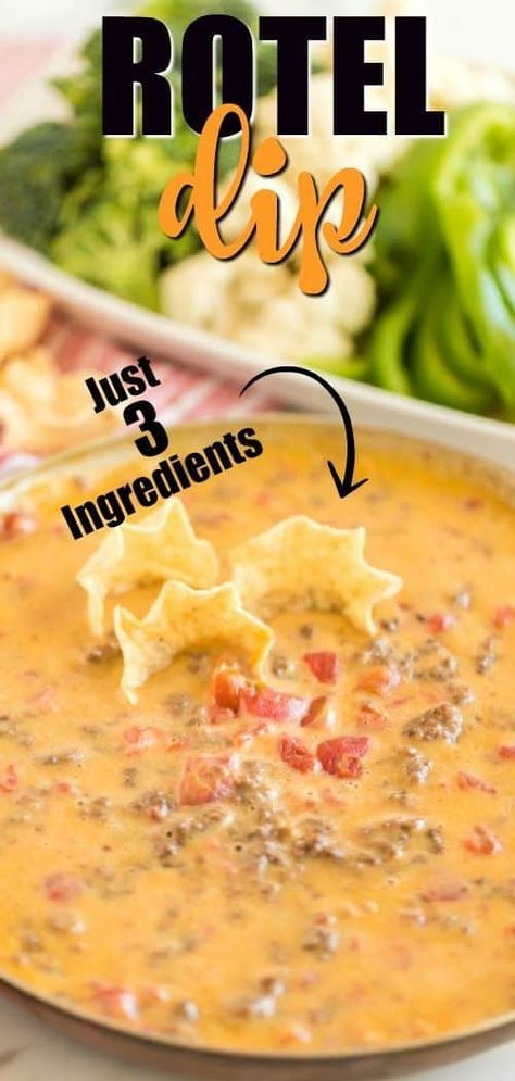 Cheesy Salsa Dip, The Best Rotel Dip, Party Food To Bring, Best Rotel Dip, Homemade Rotel, Rotel Recipes, Super Easy Appetizers, Rotel Dip, Beef Dip