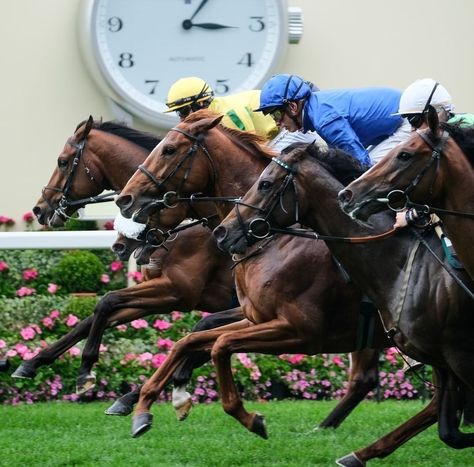 Horse Race Photography, Horse Racing Aesthetic, Racing Photoshoot, Jockey Aesthetic, Ascot Horse Racing, Gil Scott Heron, English Pub, Thoroughbred Racehorse, Race Photography