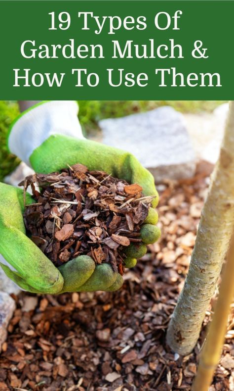 Brown Mulch, Sheet Mulching, Garden Mulch, Carrot Gardening, Tips For Growing Tomatoes, Herb Garden Pots, Types Of Mulch, Mulch Landscaping, Sitting Areas