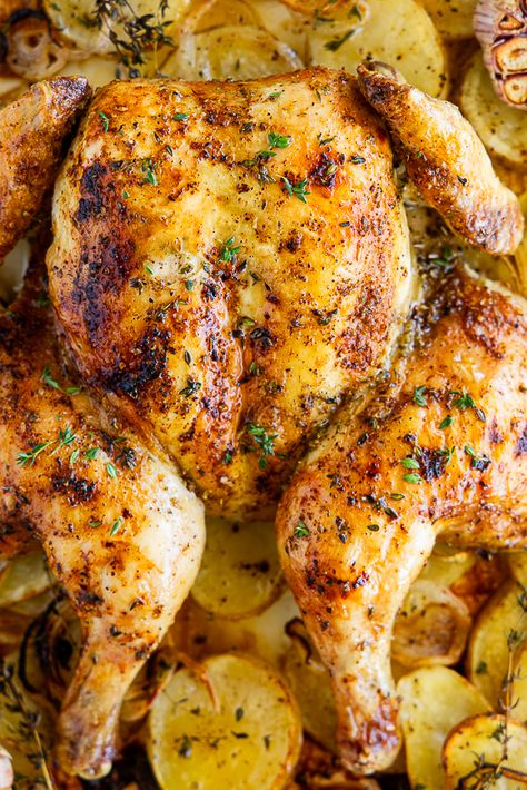 Oven Roasted Whole Chicken - Simply Delicious Small Whole Chicken Recipes Ovens, Best Whole Chicken Recipe Ovens, Roast Whole Chicken Recipes, Whole Chicken Recipes For Dinner, Whole Chicken Meal Ideas, Recipes For Whole Chicken, Baked Whole Chicken Recipes Oven, Whole Young Chicken Recipes, Whole Roasted Chicken Oven