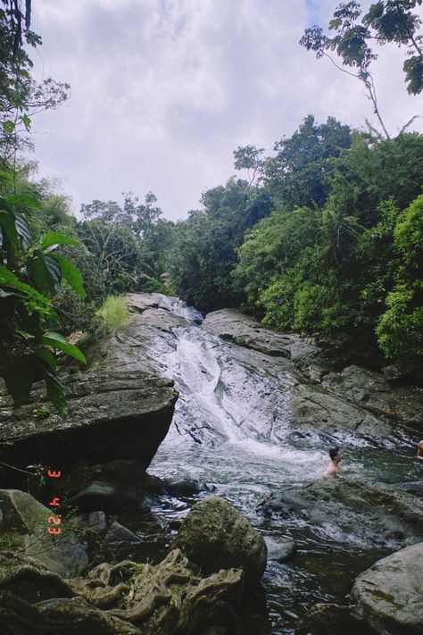 El Yunque Rainforest in Puerto Rico Puerto Rico Waterfalls, El Yunque Puerto Rico, Travel Aesthetic Puerto Rico, Puerto Rico Nature, Puerto Rico Rainforest, Rincon Puerto Rico, San Juan Rainforest, Puerto Rico Rain Forest, El Yunque Rainforest