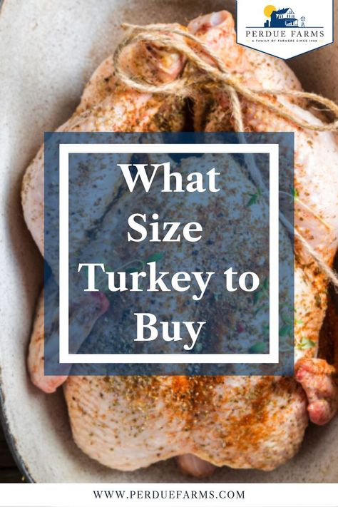 Tis the ultimate question come the holiday season. Here, we share our suggestions for turkey size per number of guests, based on both servings with no leftovers and with leftovers taken into account. Size Of Turkey For Thanksgiving, What Size Turkey Should I Get, What Size Turkey For 10 People, Turkey Serving Guide, How Much Turkey For Thanksgiving, How Big Of A Turkey Do I Need, How Many Pounds Of Turkey Per Person, Turkey Size For People, Turkey Thawing Chart