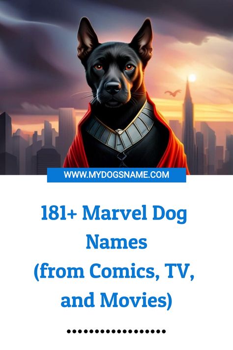 181+ Marvel Dog Names (from Comics, TV, and Movies) Marvel Names For Dogs, Disney Dog Names Boys, Marvel Dog Names, Disney Boy Names, Disney Character Names, Avengers Names, Marvel Names, Boy Dog Names, Girl Dog Names