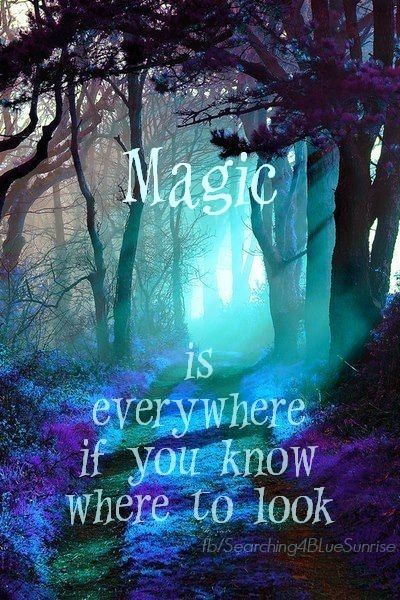 magic life quotes blue inspirational quotes Magic Quotes Inspiration Beautiful, Blue Inspirational Quotes, Mystical Quotes, Magic Pictures, Forest Quotes, Fairy Quotes, Miracles Happen Everyday, Morning Gifs, Earth Fairy