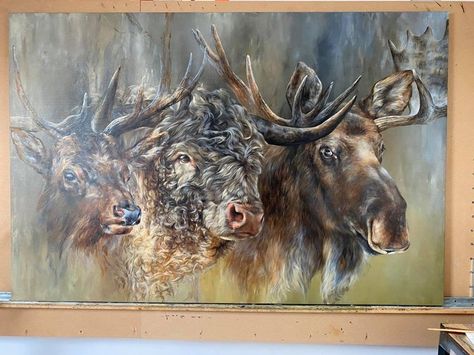 XL Canvas Prints are here ${contact.Name.First}! Moose Wall Art, Moose Painting, Temple Pictures, Lds Art, Jesus Painting, Hur Man Målar, Artwork Display, Morning Light, Wildlife Art