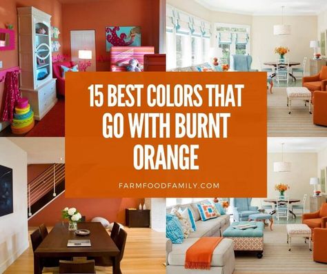 Burnt Orange And Yellow Living Room, What Color Goes With Burnt Orange, What Colors Go With Burnt Orange, Burnt Orange Complimentary Colors, Burnt Orange Sofa Living Room Ideas, Burnt Orange Kitchen Walls, Burnt Orange Feature Wall, Burnt Orange Living Room Walls, Colors That Go With Burnt Orange