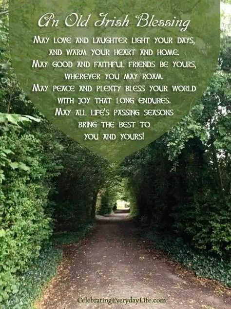 Old Irish Blessing, St Patricks Day Quotes, Irish Proverbs, Irish Eyes Are Smiling, Irish Quotes, Old Irish, Irish Eyes, Blessed Quotes, Irish Blessing