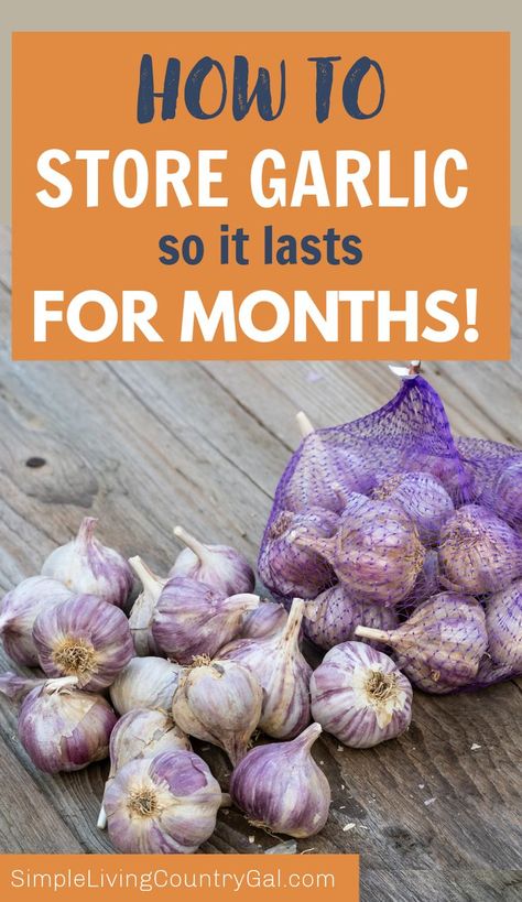 Best Way To Store Garlic, Garlic Harvesting, Gardening Binder, Drying Garlic, Preserve Garlic, Freezing Garlic, Storing Veggies, Harvest Garlic, Store Garlic