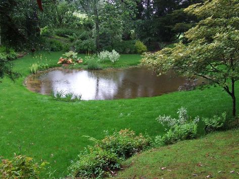 Wildlife Pond, Large Pond, Pond Construction, Fishing Pond, Naturalistic Garden, Pond Liner, Pond Landscaping, Exterior Remodel, Fish Ponds