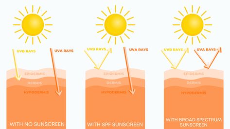 Applying Sunscreen, Sunscreen Skincare, Skin Care Advice, Broad Spectrum Sunscreen, Sagging Skin, Spf Sunscreen, Aging Signs, Sunscreen, Sensitive Skin