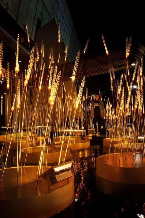 Light Art Installation, Lighting Installation, Rice Field, Light Sculpture, Environmental Design, Light Installation, Design Museum, Land Art, Landscape Lighting