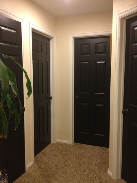 @Shawn O Lantz Same paint color as our walls Doors Painting, Painting Stripes On Walls, Entry Mudroom, Trim Paint, Black Interior Doors, Light Trim, Painting Colors, House Updates, Door Inspiration