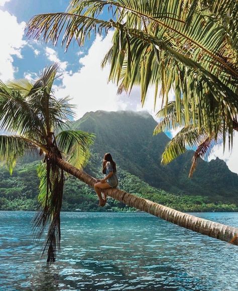 Tropical Paradise Aesthetic, Tahiti Aesthetic, Paradise Beaches, Fiji Islands, Ocean Pictures, Holiday Summer, Dream Travel Destinations, Island Vibes, September 1