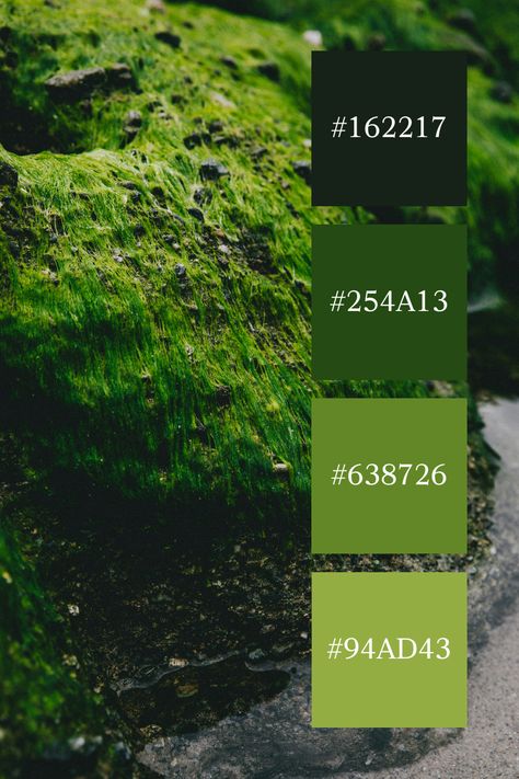 Rugged Moss Terrain: A rugged landscape covered in vibrant green moss, highlighting the textures and earthy tones of a moss green color palette. Vibrant Green Color Palette, Earthy Green Color Palette, Moss Color Palette, Moss Green Color Palette, Color Scheme Generator, Rugged Landscape, Moss Green Color, Green Color Palette, Aesthetic Color