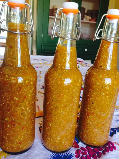 Canning Hot Pepper Sauce Recipe, Hungarian Wax Pepper Hot Sauce, Hatch Chili Hot Sauce, Hot Pepper Sauce For Canning, Mixed Hot Pepper Sauce, Canning Tabasco Peppers, Hungarian Pepper Hot Sauce, Serrano Hot Sauce Recipe Canning, Mixed Pepper Hot Sauce