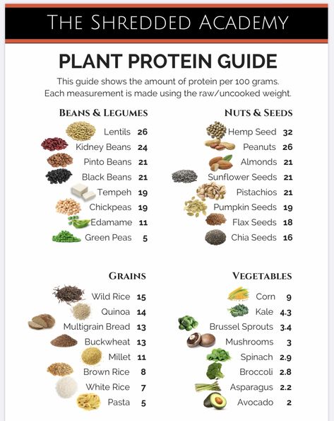 Plant Protein Vs Animal Protein, Vegan Proteins, Protein Guide, High Protein Vegetables, Vegan Protein Sources, High Protein Vegetarian Recipes, Plant Based Diet Recipes, Healthy High Protein Meals, Vegetarian Protein