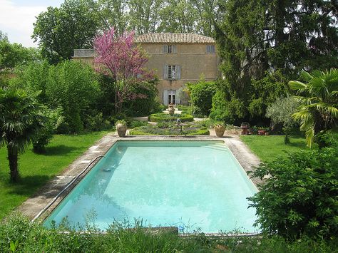 Chateau La Canorgue pool Swimming Pool Pond, Keyhole Garden, Backyard Renovations, Provence Style, Good Year, Small Patio, Pool Designs, Garden Decoration, Pool House