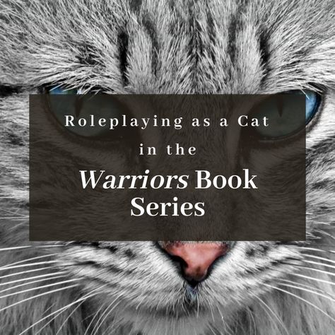 Warrior Cats Ideas, Roblox Warrior Cats, Roleplay Ideas, Warrior Cats Books, Cat Book, Cat Birthday Party, The Warriors, Cat Character, Cat Books