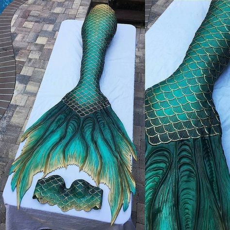 Which mermaid tail 1,2,3,4,5,6,7,8? By @the_mernation . Follow @artistic_unity_ Blue And Green Mermaid Tail, Green Mermaid Tail Aesthetic, Dark Green Mermaid Tail, Mermaid Aesthetic Tail, Aesthetic Mermaid Tail, Mermaid Tails Aesthetic, Mermaid Tail Ideas, Mermaid Clothes Aesthetic, Dark Mermaid Tail