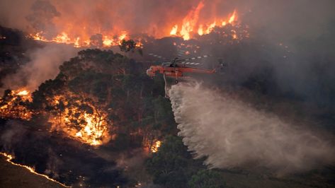 East Gippsland Australian Bushfires, Bushfires In Australia, Fire Images, Job Aesthetic, Scott Morrison, Wild Fire, Fire Service, Travel Australia, Forest Fire