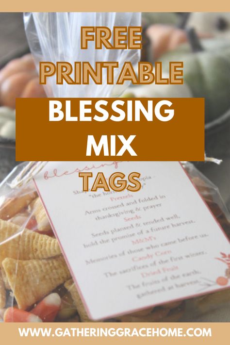 Thanksgiving Snack Mix Printable, Harvest Blessing Mix Recipe, Blessings Mix Recipe, Party Mix For Thanksgiving, Thanksgiving Blessing Mix Free Printable, Thanksgiving Blessing Mix Recipe, November Ministering Ideas, Blessing Mix Free Printable, Blessing Mix Recipe