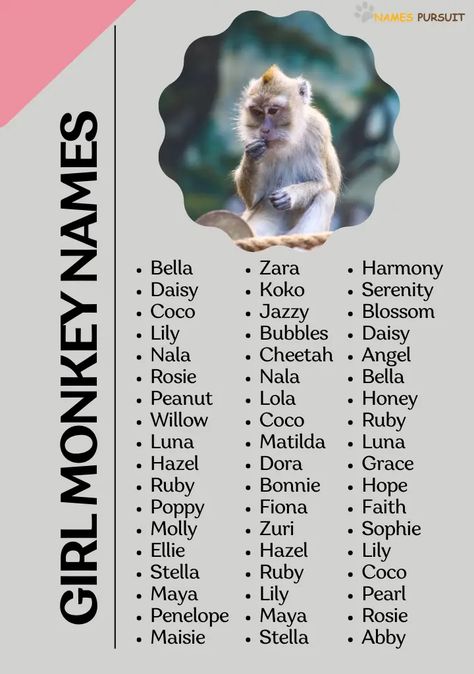 "Swing by and explore a charming collection of girl monkey names! 🐒 Perfect for your little primate princess or for a whimsical story character. Pin your favorites and share with those on the lookout for the perfect name. #GirlMonkeyNames #MonkeyMagic Monkey Names, Cute Pet Names, Girl Monkey, Monkey Girl, Story Prompts, Cute Names, Great Hairstyles, Funny Girl, Story Characters