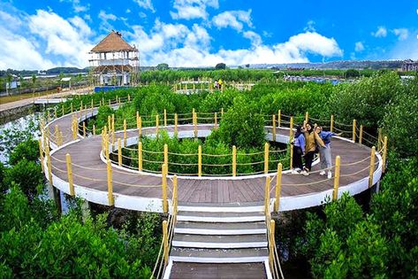 Wisata Taman Mangrove memiliki pepohonan mangrove dan dibelah dengan jembatan jembatan kayu dan beton mengitari pohon mangrove dan terdata sekitar 16 spesies dan telah berhasil dikembangkan di Ketapang Aquaculture diantaranya , Rizophora stilosa., Bruguiera gymnoriza, Bruguiera cylindrica, Xylocarpus granatum, Rhizopora mucronata, Rhizopora apiculate. Architect Ideas, Tangerang, Theme Park, Architecture, Quick Saves