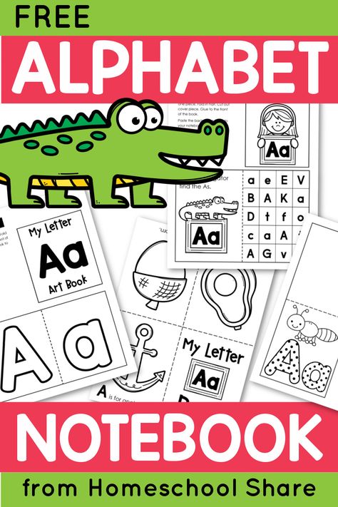 Interactive Alphabet Notebooks, Alphabet Notebook, Letter Recognition Worksheets, Kindergarten Homeschool Curriculum, Alphabet Kindergarten, Interactive Reading, Teaching Spelling, Alphabet Writing, Learning Abc