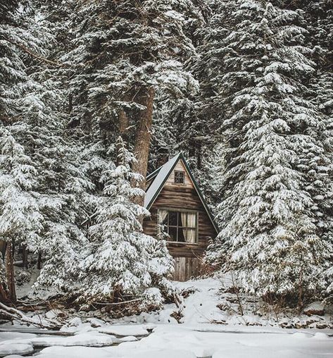 A Cabin In The Woods, Little Cabin In The Woods, Cottage Cabin, Winter Cabin, Cabin Living, Little Cabin, A Frame Cabin, Log Cabin Homes, A Cabin