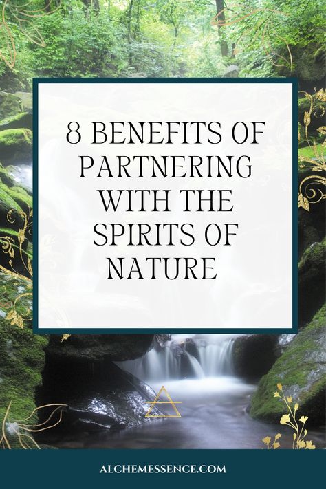 8 benefits of partnering with the spirits of nature Nature Spirits, Spiritual Protection, Pet Peeves, Wild Spirit, Everything Is Possible, Experience Gifts, Mind Body Spirit, Dancing In The Rain, Outdoor Play