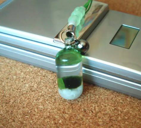 Smiski Glow Keychain, Weirdcore Keychain, Green Aesthetic Jellyfish, Jellyfish Keychain Aesthetic, Jellyfish Phone Charm, Marimo Moss, Marimo Moss Ball, Emily The Strange, Moss Balls